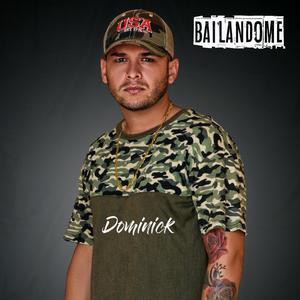 Modelo de Television