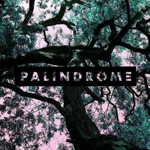 Palindrome (String Orchestra)