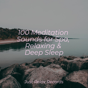 Tranquil Veil of Silence