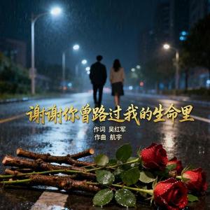 谢谢你曾路过我的生命里