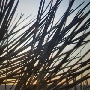 Imos (Acoustic Version)