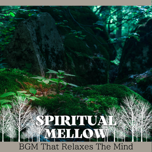 Renaissance of the Soul