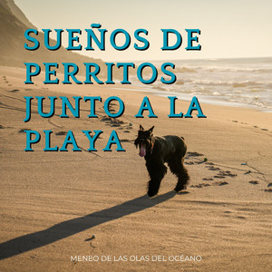 Dicha Canina De Juego En La Playa