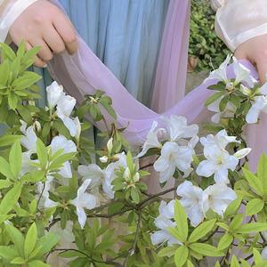 紫禁城里的似水流年