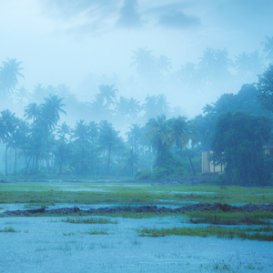 Deep Rain for sunday