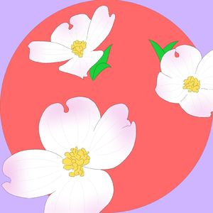 ハナミズキ (feat. 一青窈) [Cover]