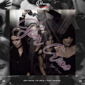 Cyber Crime (网络犯罪）