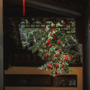 后来我们都学会了装