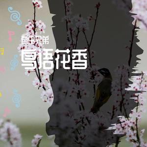 《鸟语花香》钢琴曲