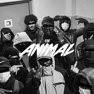 ANIMAL