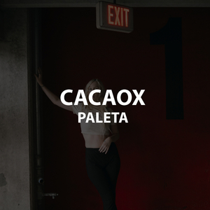 Paleta