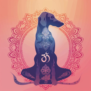 Dheemi Zindagi Ka Hang Damaru