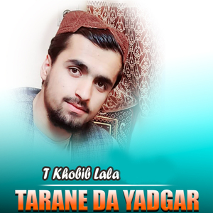 Pa Ore Kabab Shawi Zrona