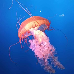 如果那时候2.0（Prod by Royalboi)