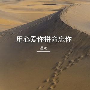 用心爱你拼命忘你