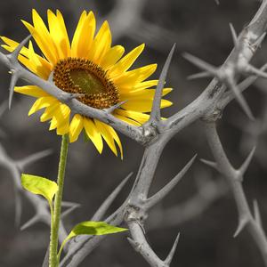 beyond (feat. SIX KAY)