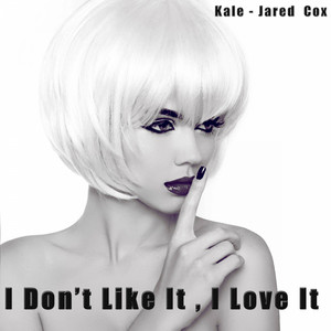 I Don't Like It, I Love It (Originally Performed by Flo Rida feat. Robin Thicke & Verdine White) (Karaoke)