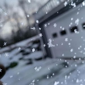 别在冬天把我丢下