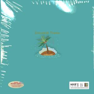 Coconut Trees