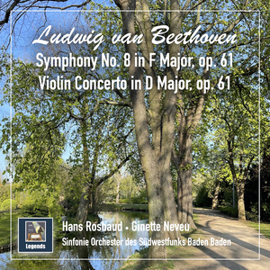 Violin Concerto in D Major, Op. 61:II. Larghetto