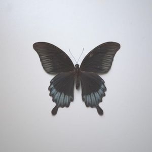 Don't Leave Me Alone