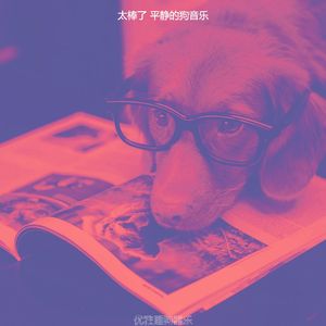 安静的可爱的狗声音