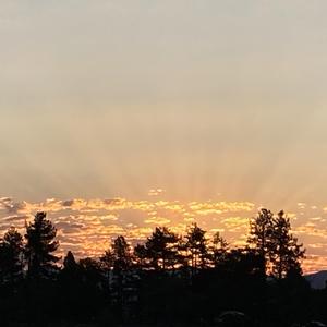 Revelations XI III Crown Of Thorns (Remastered 2025)