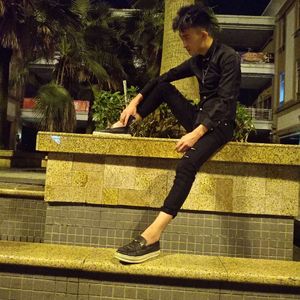 阳春的城市(涯话版)