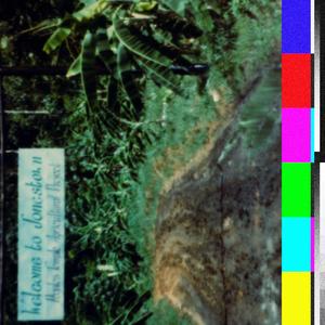 Jonestown (feat. Taylor Harlow)