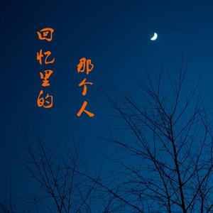 回忆里的那个人