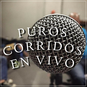 El Bronco De La Barba (En Vivo)