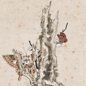 【Free】新 新 新 鸳 鸯 蝴 蝶 梦