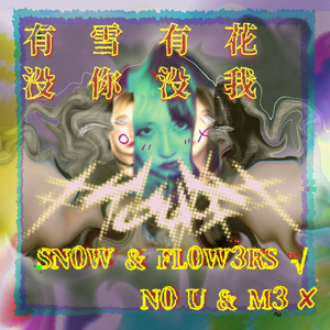 有雪有花没你没我