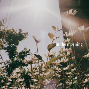 In the morning