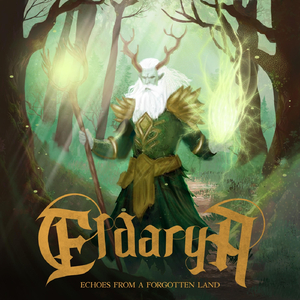 Last Light of the Forest