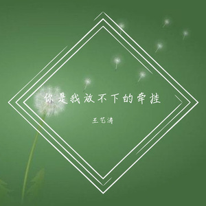 你是我放不下的牵挂（王艺涛演唱）