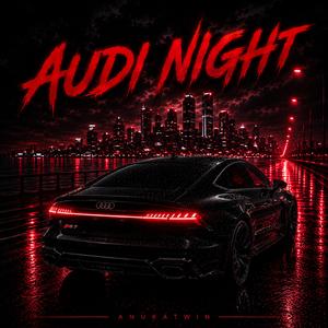 Audi Night