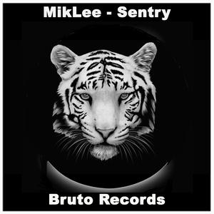 Sentry (Original Mix)
