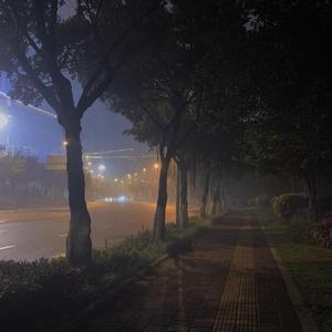 你是一朵开在天涯的花