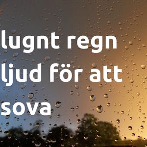 Ljudet av tidigt morgonregn