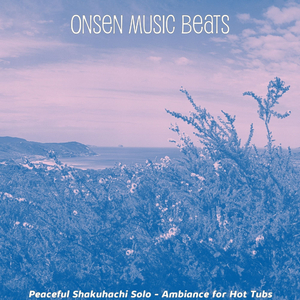 Sparkling Shakuhachi and Guitars - Vibe for Hot Tubs