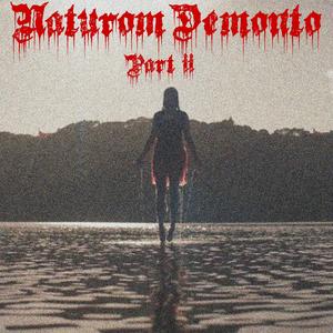 Naturom Demonto II