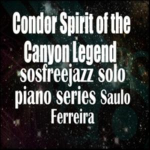 Condor Spirit Shamanic Bird