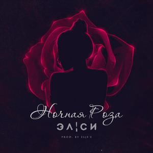 Ночная Роза