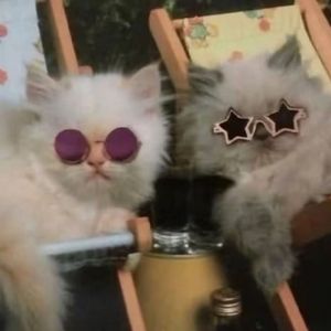 平凡才是最闪亮