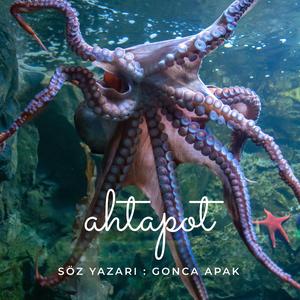 Ahtapot