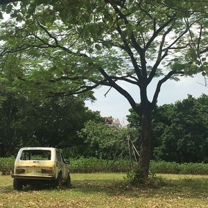 燃烧吧，毕业证