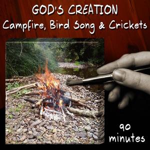 Campfire, Bird Song and Crickets (90 Minutes)