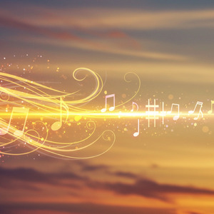 Harmony of the Moonlit Night