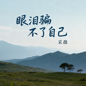 眼泪骗不了自己